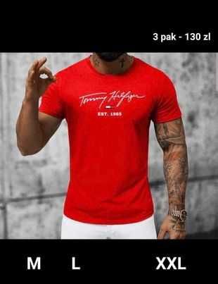 T-shirt, koszulki męskie BOSS, Nike, EA7 i inne
