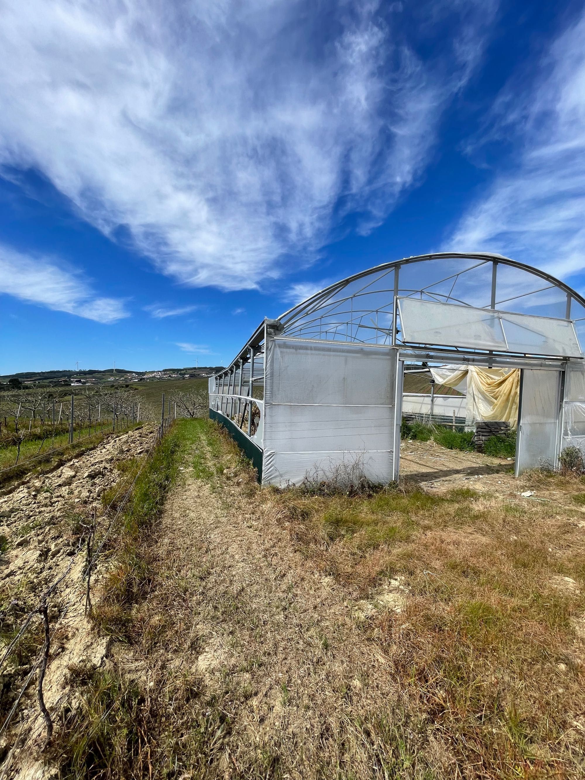 Estufa Agrícola  162m² (Estrutura)