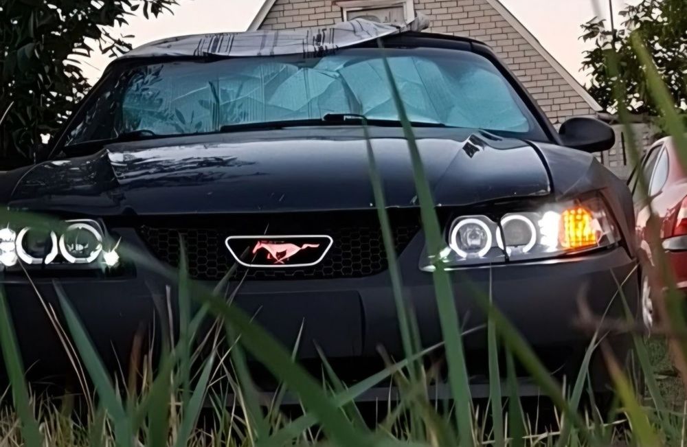 Ford Mustang. Форд Мустанг.  V6. Автомат.ОБМЕН.