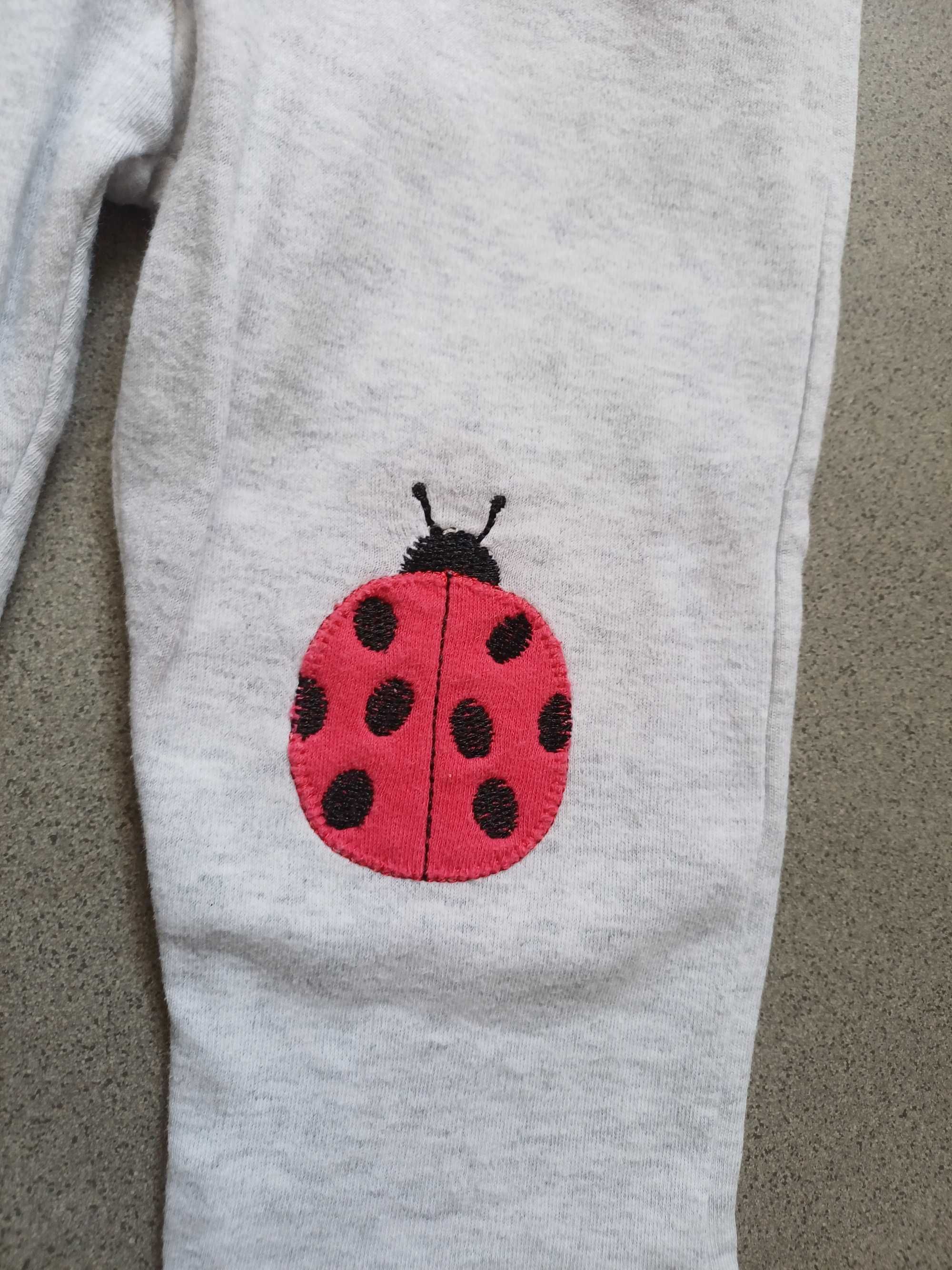 Spodnie dresowe/ legginsy dziewczęce w biedronki r. 68-74