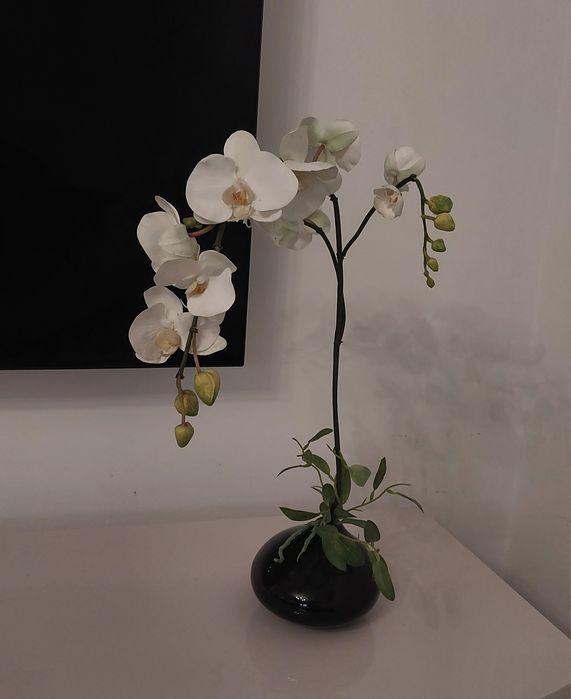 Vaso com orquídea