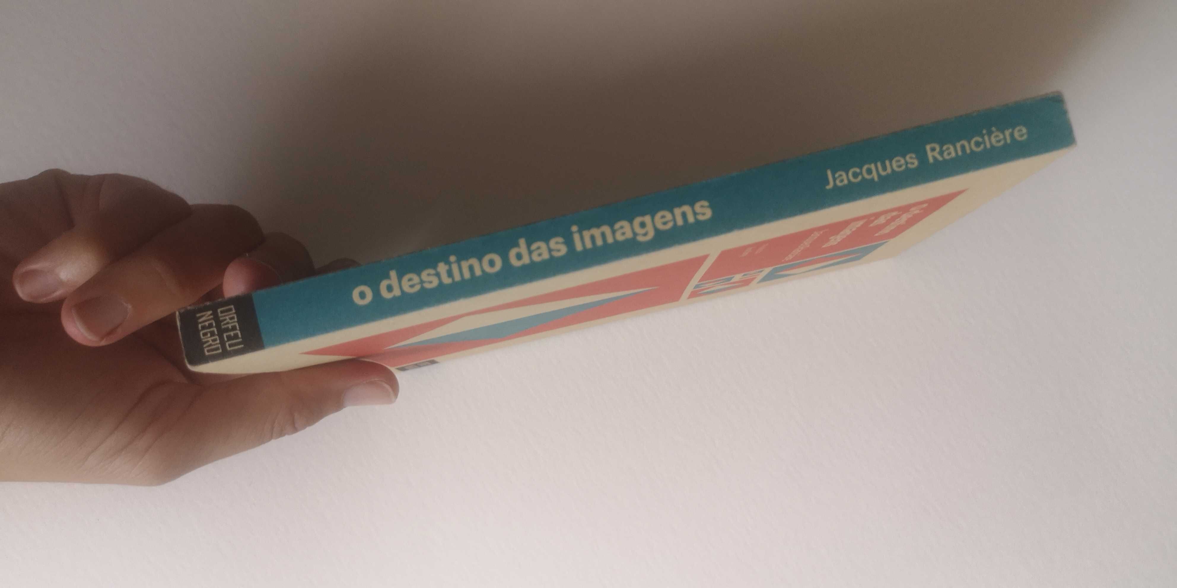 Livro o destino das imagens