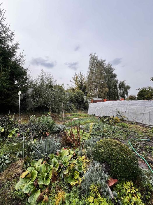 Оренда будинку Забуччя, біля лісу та озера, швидкий виізд на Киів