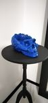 Caveira Azul / Skull