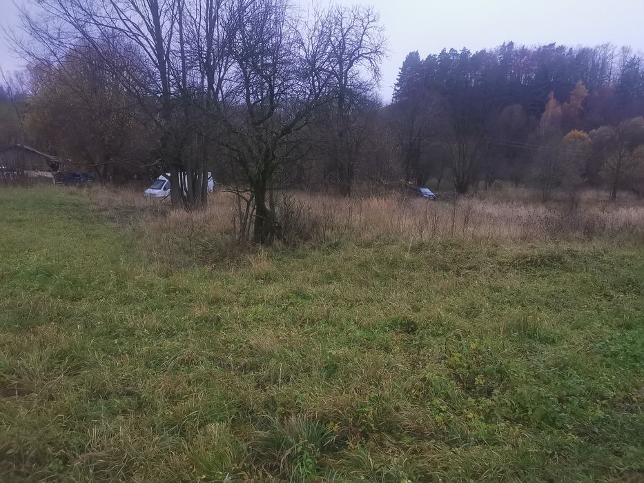 Sprzedam działkę w Kotlinie Kłodzkiej