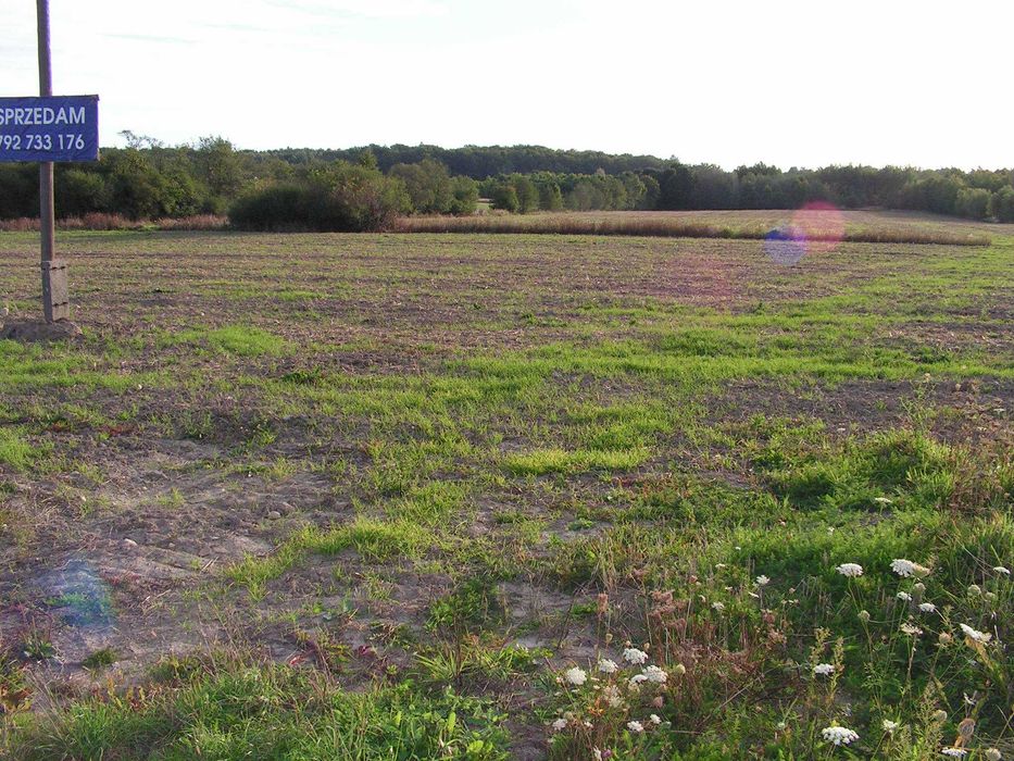 Działka budowlana 1250m2 Zwierzyniec Trzeci