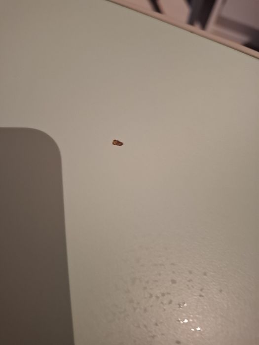 Drewniany stolik dla dzieci w kolorze miętowym