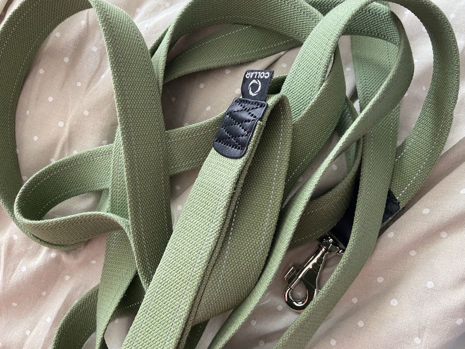 Повідець для собак