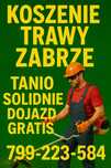 Koszenie trawy - przycinanie żywopłotów,tui|TANIO|SOLIDNIE