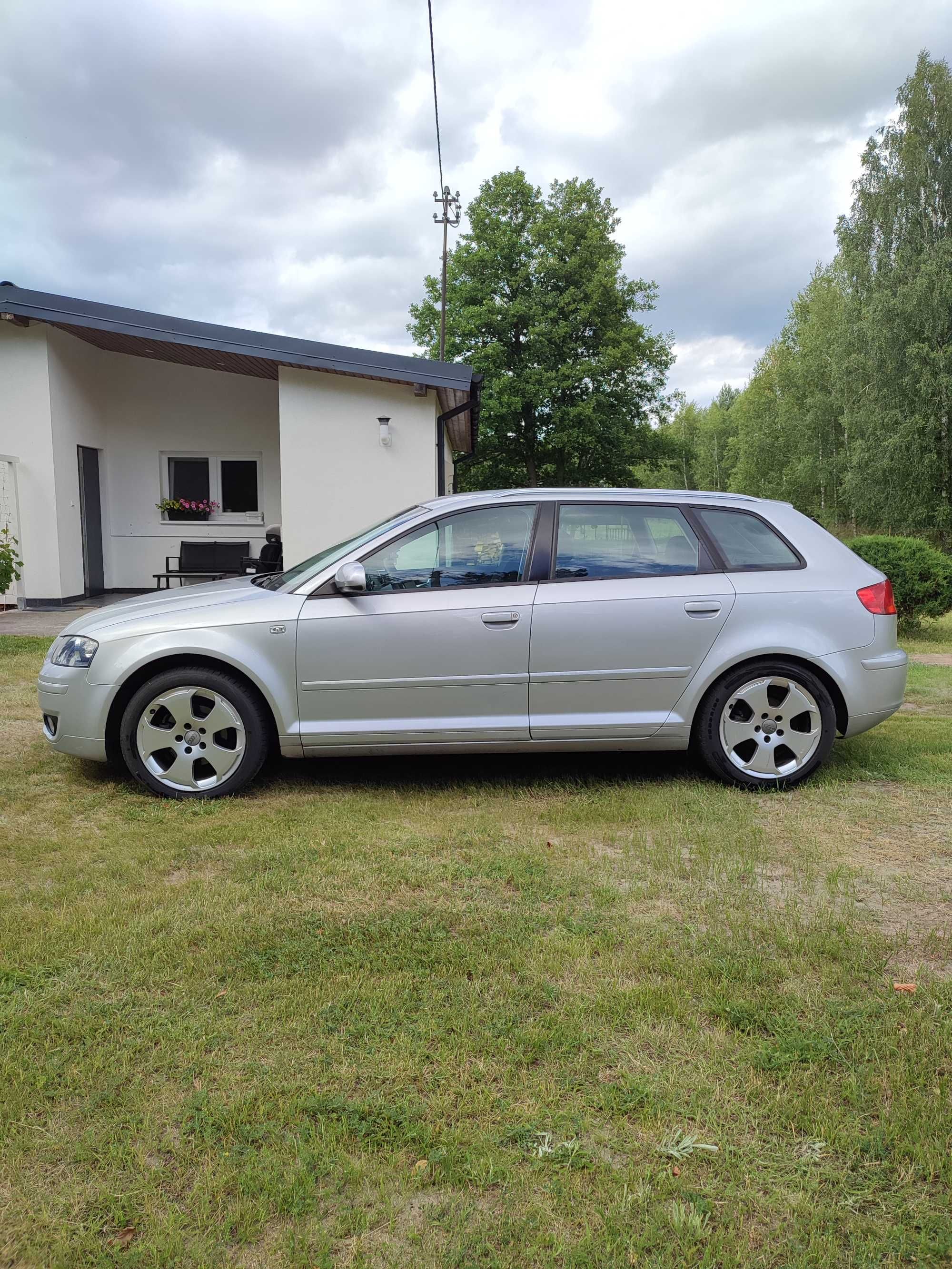 Audi A3 8P 1.9 tdi