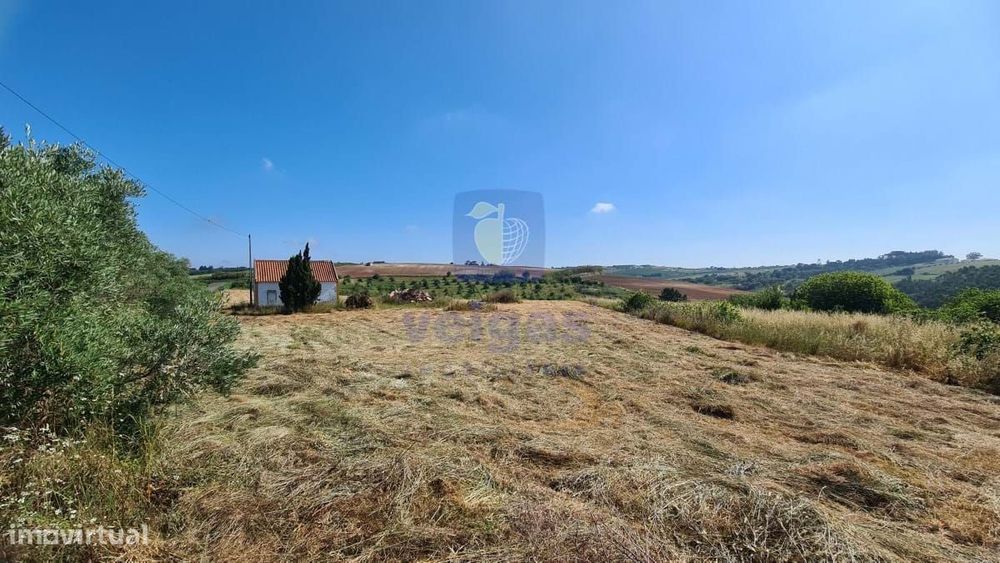 Terreno  com pequena casa no Carvalhal/Bombarral