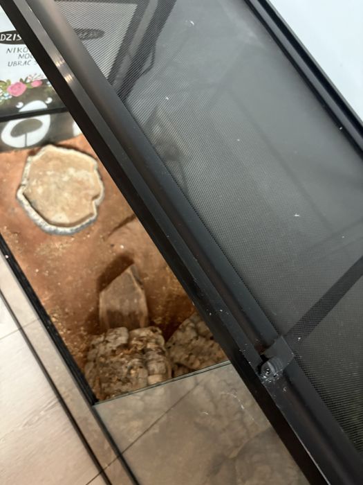 Terrarium dla gadów