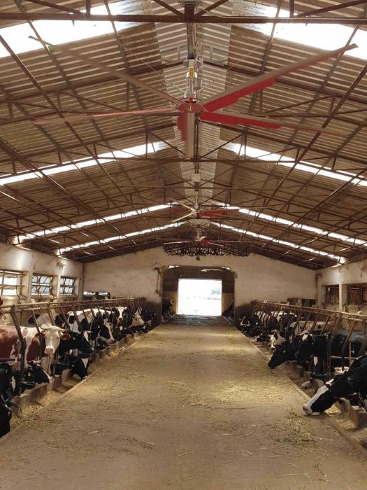 Wentylatory do obory