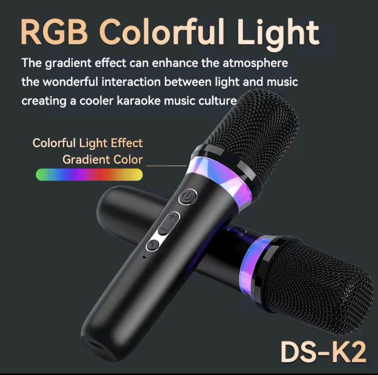 Караоке микрофоны DS-K2.