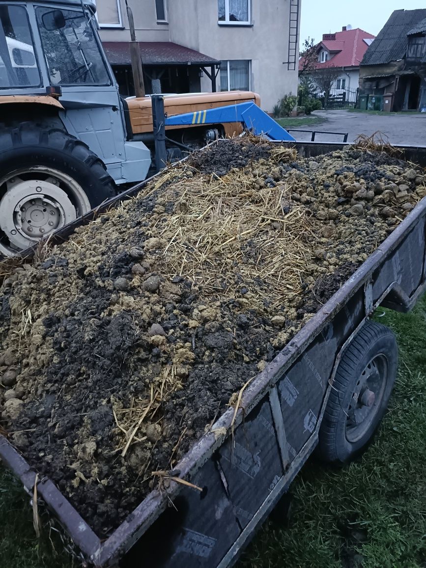 Obornik koński nawóz naturalny