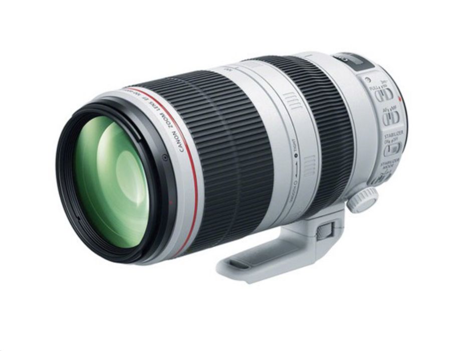 Об’єктив Canon EF 100-400 ( перша версія)