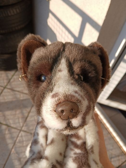 Pluszowy piesek w dobrym stanie