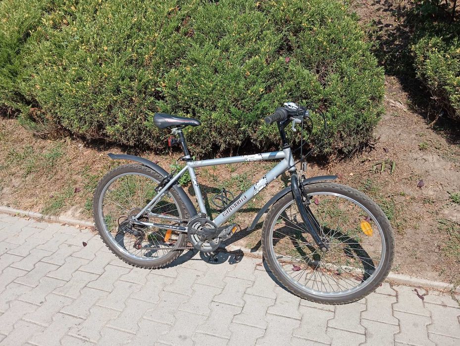 Rower Caledonia 24''