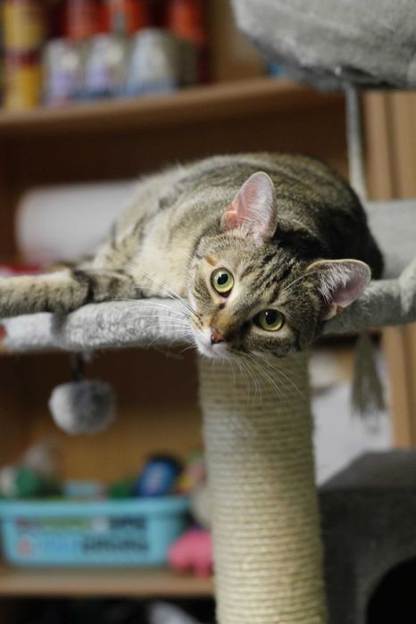 Poznaj malutką, delikatna FRANIĘ