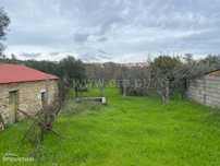 Quintinha T1 / Fundão, Atalaia do Campo