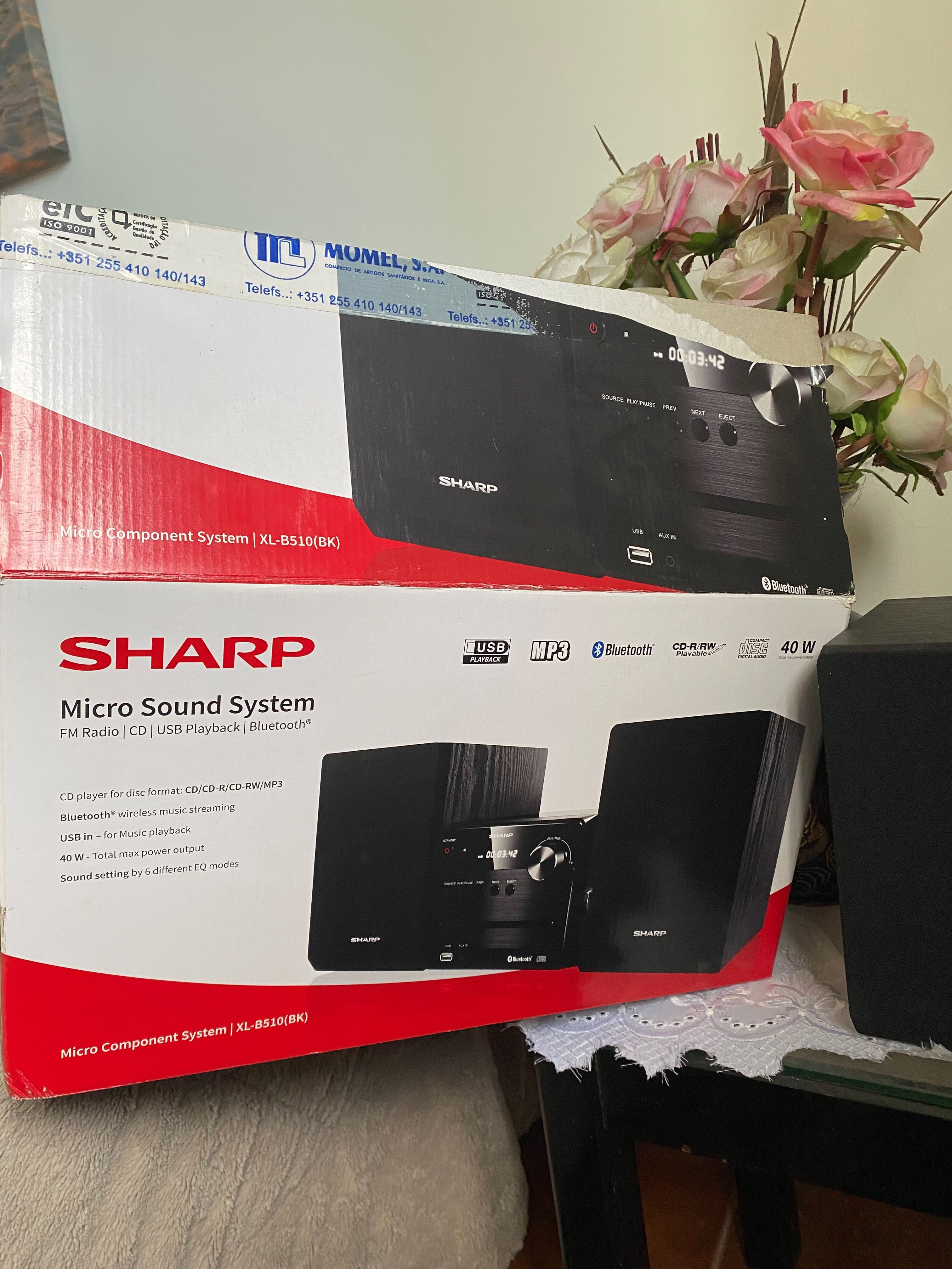Colunas Micro Sound System- Sharp XL-B510