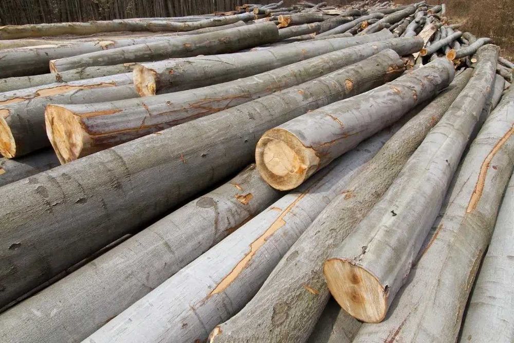 Дрова метрові граб бук береза осика оптом з доставкою Дрова колоті