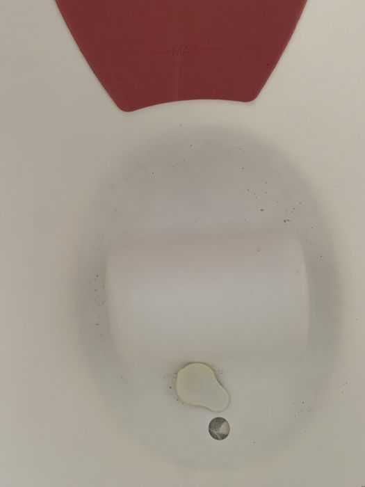 Banheira ergonómica Shnuggle + suporte