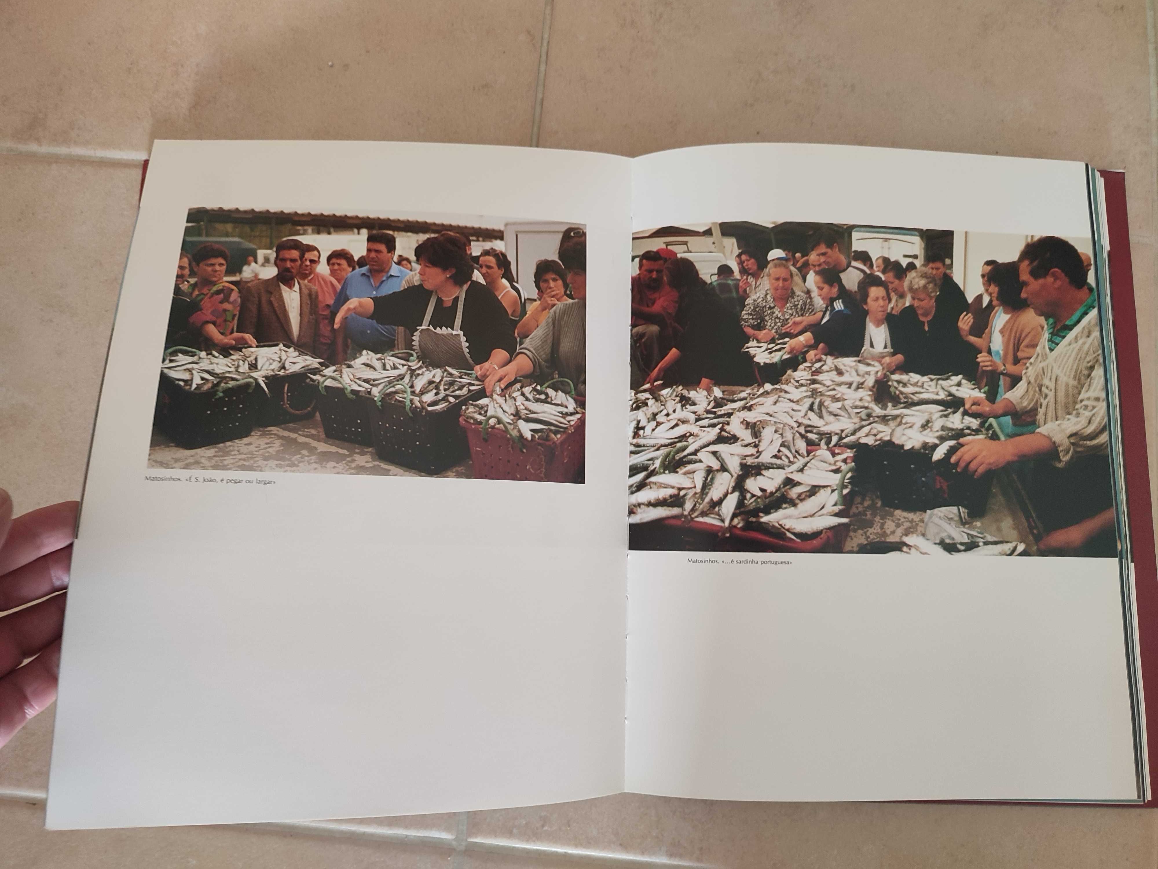 Os  Dezassete Brasões Texto Agustina Bessa-Luís Fotografias Marco