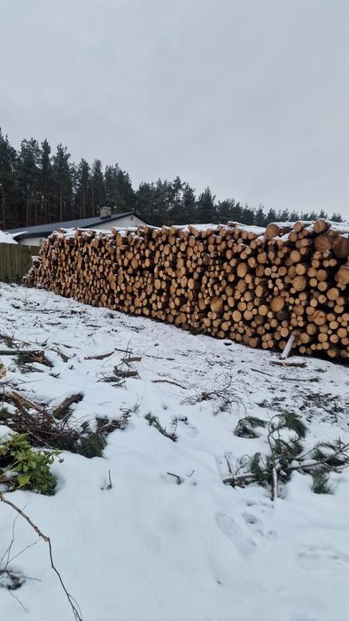 Sprzedam drewno sosnowe 2.5mb 120m3