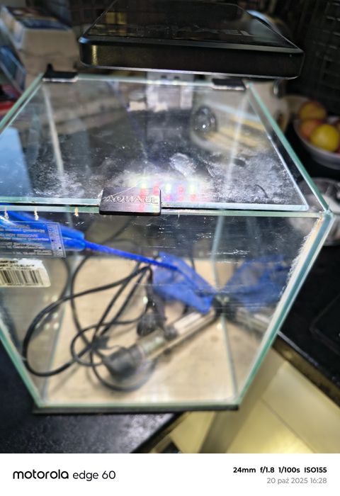 Sprzedam małe akwarium