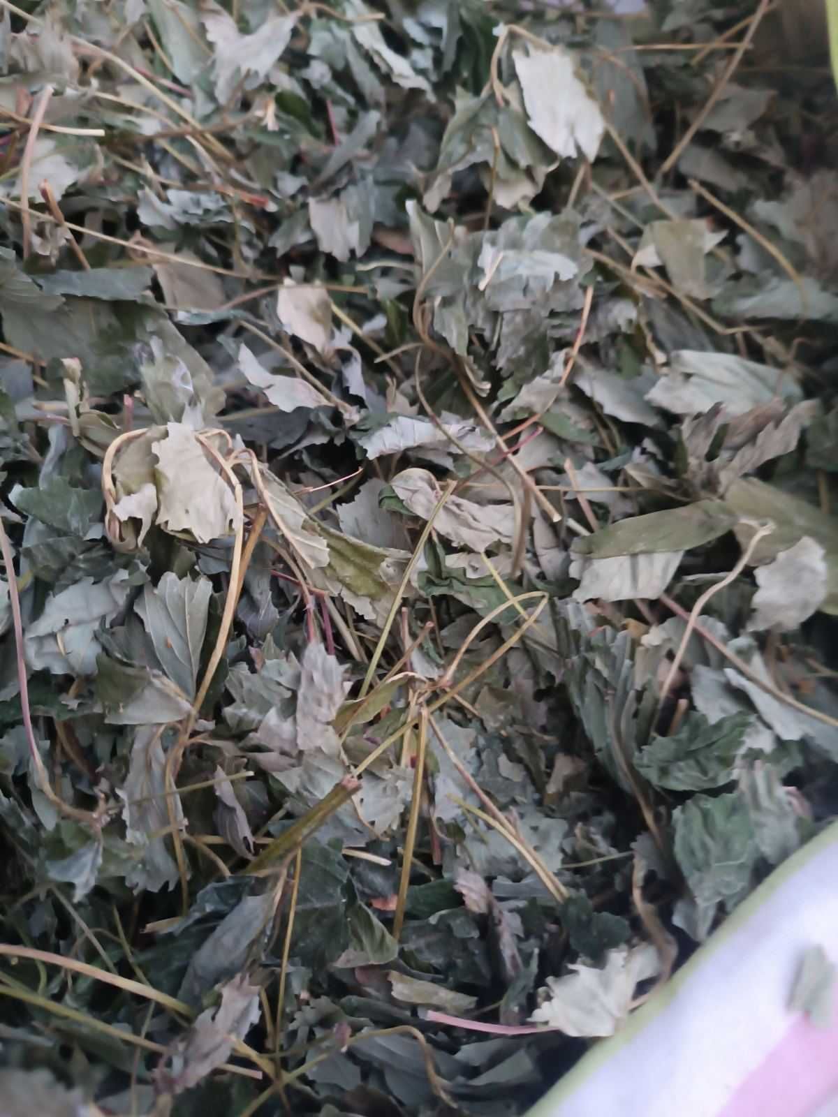 Продам лист клубники