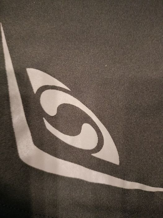 Bluzka męska sportowa Salomon