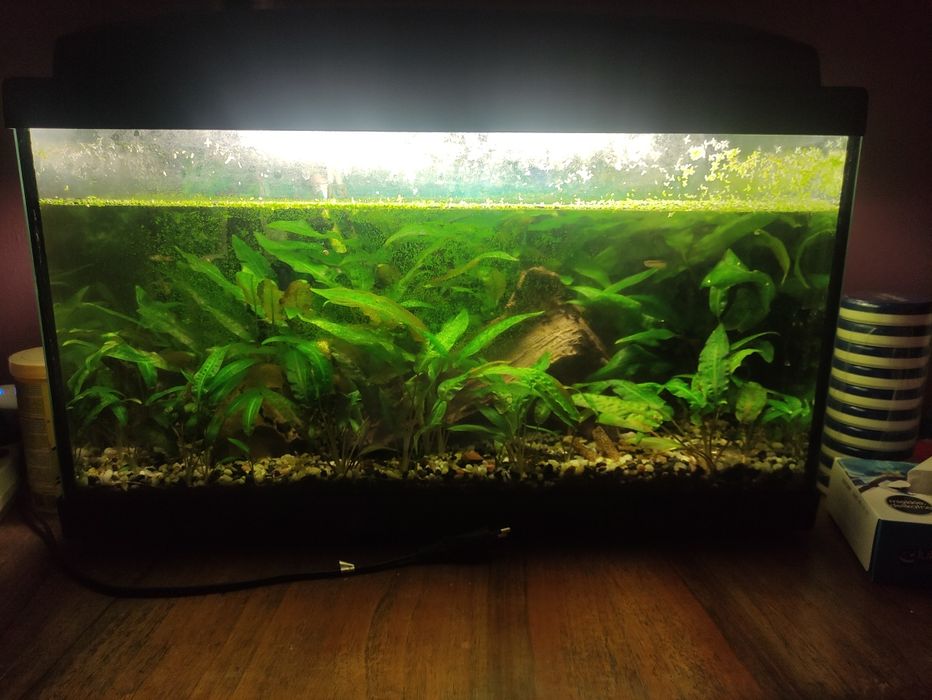 Kompletne Akwarium 40L