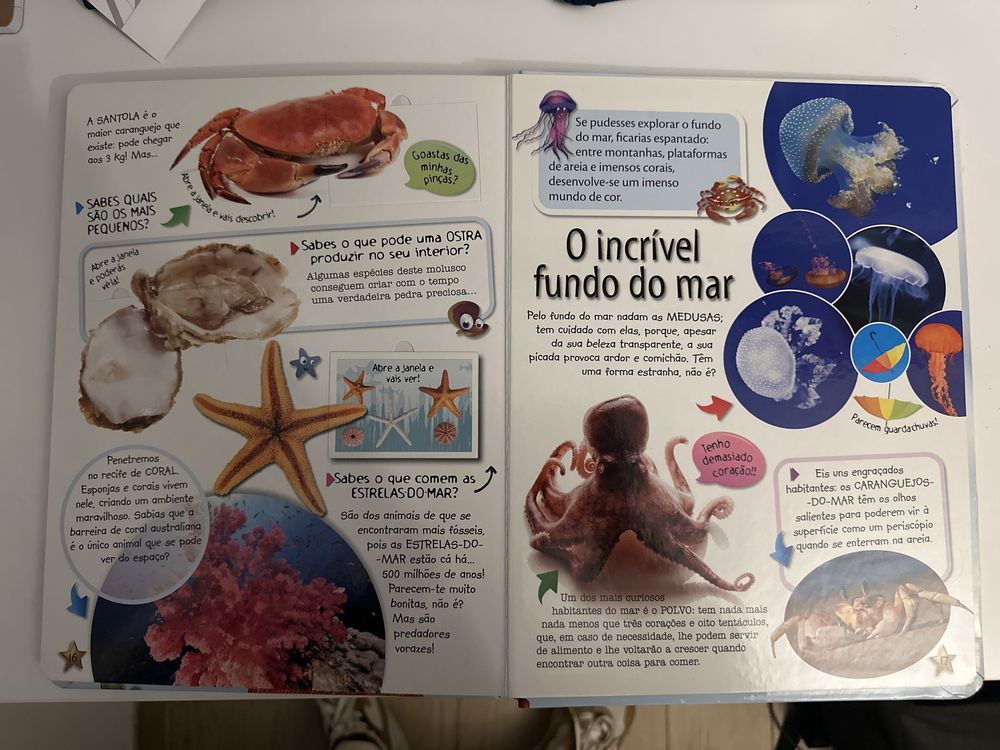 Livro “Animais espantosos”