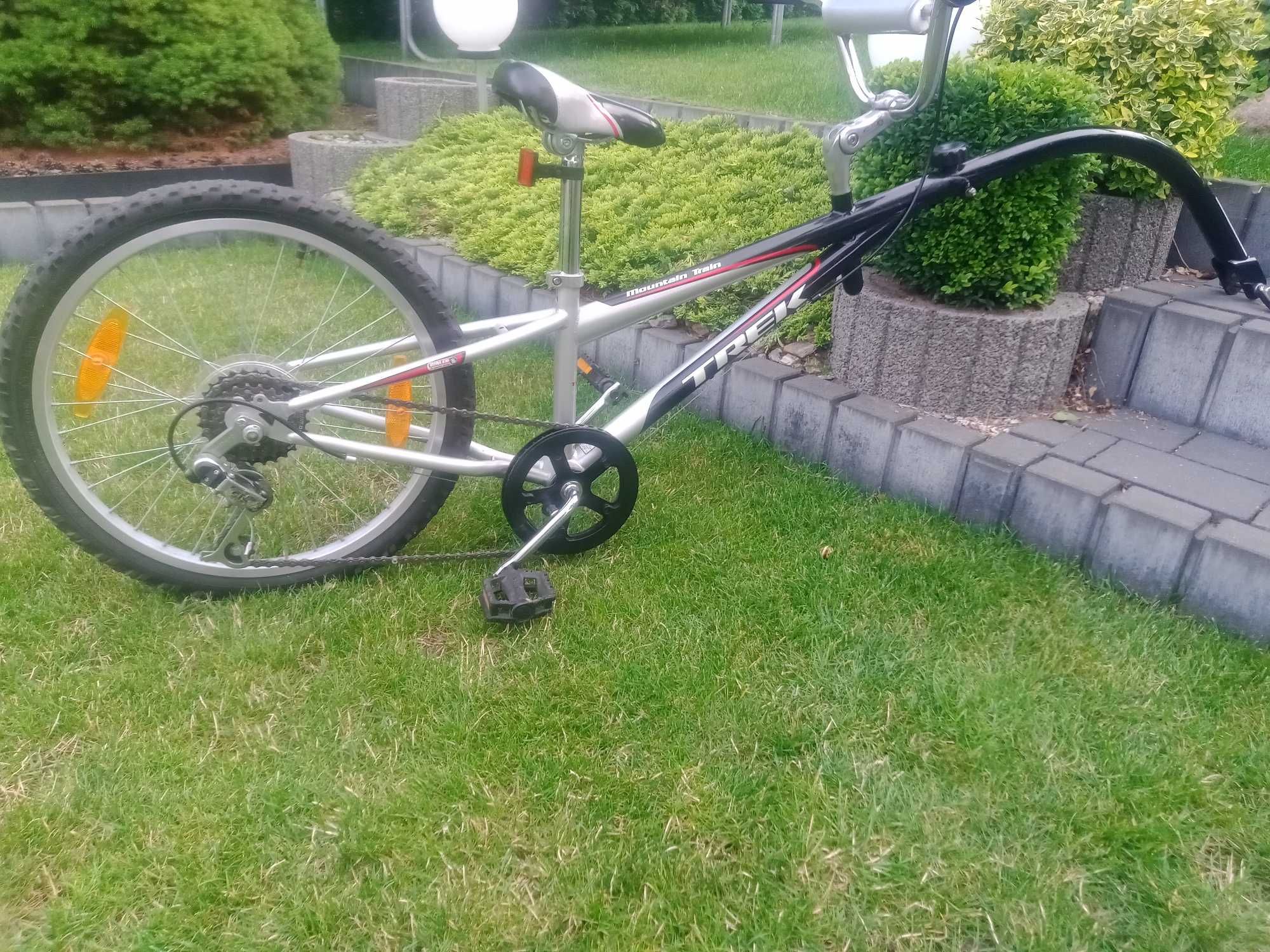Doczepka rowerowa Trek