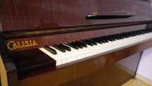 Pianino Calisia