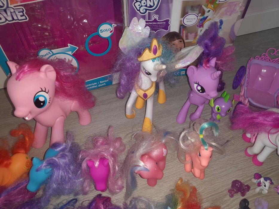zestaw kucki pony