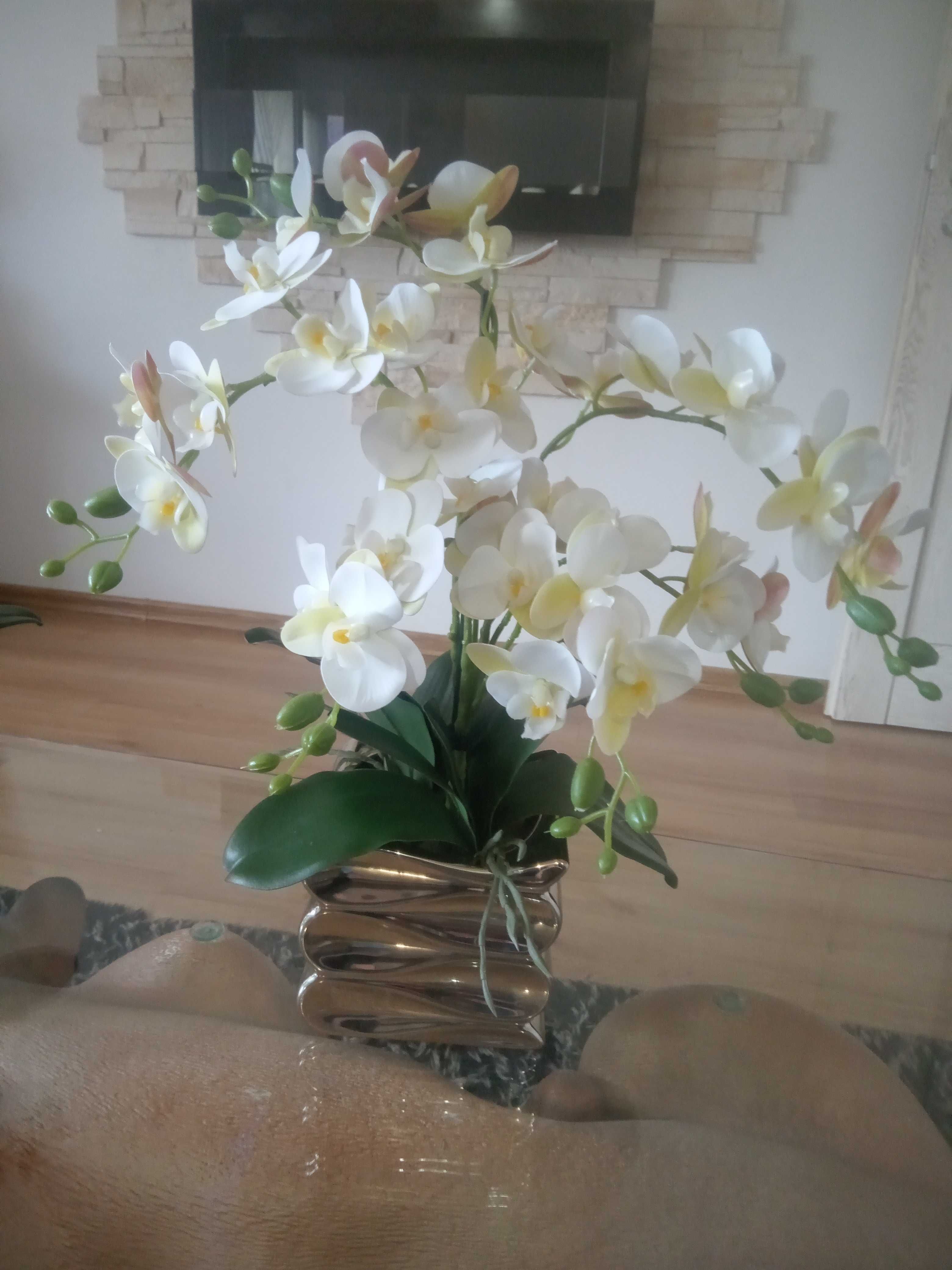 Storczyki w doniczce ceramicznej 120zl