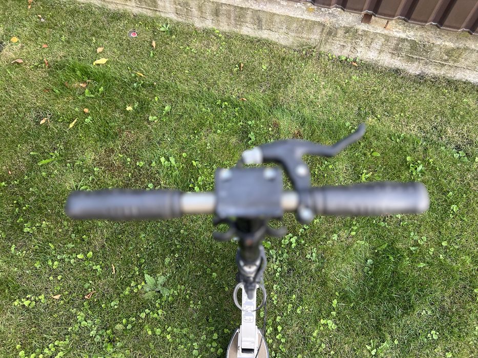 Самокат D-max 230