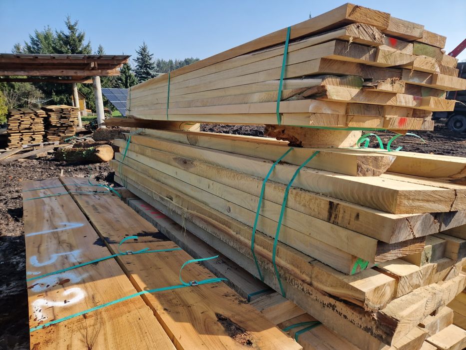 Belki /Tarcica Akacjowa/Dębowa