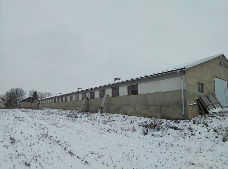 Продаю будівлю (корівник)