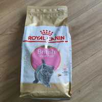 Royal Canin British Shorthair Kitten