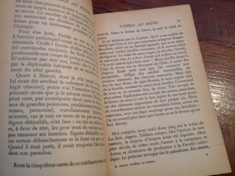 Hervé Bazin - Vipère au poing