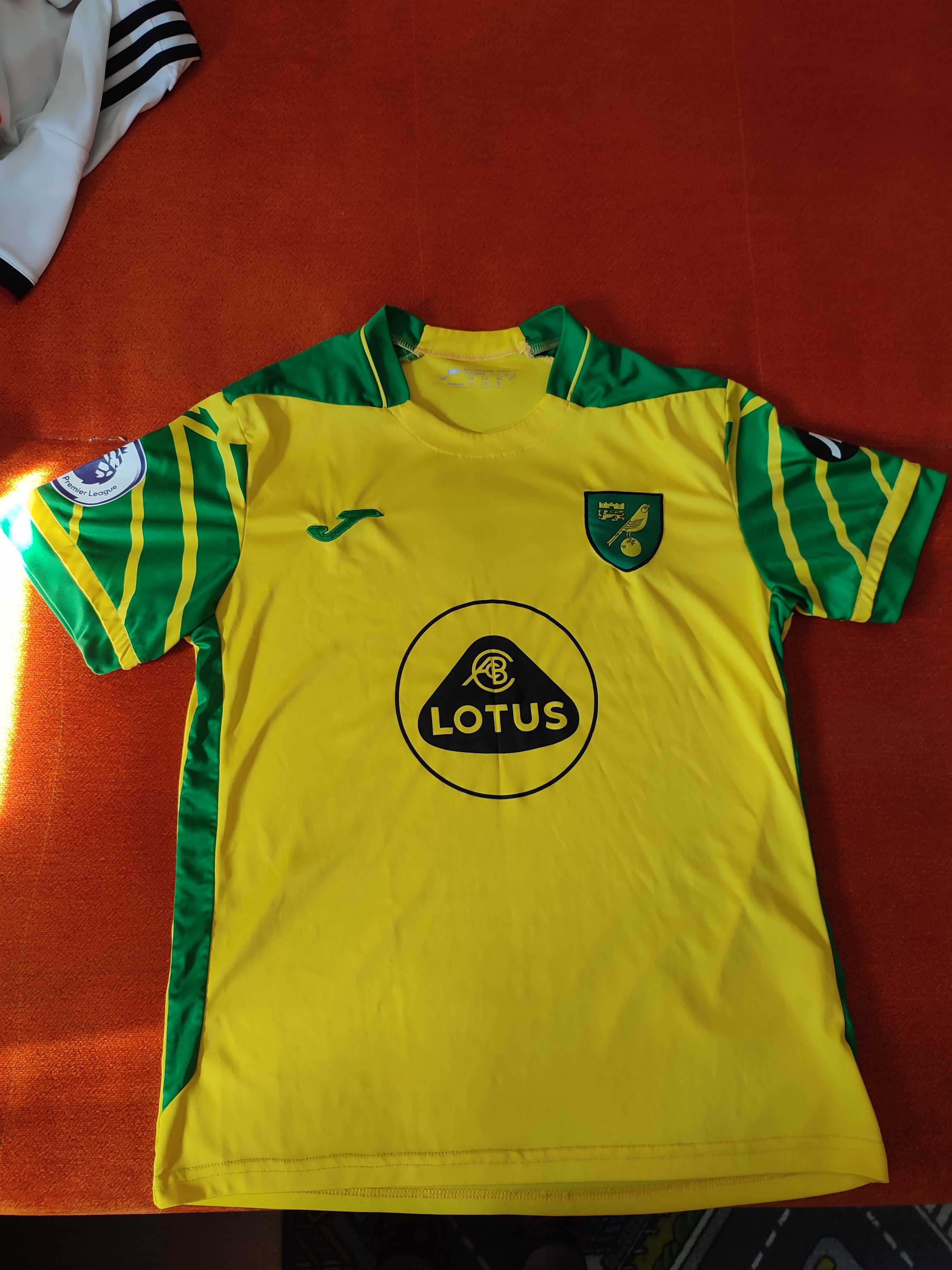 Koszulka domowa Norwich Joma żółta zielona super stan
