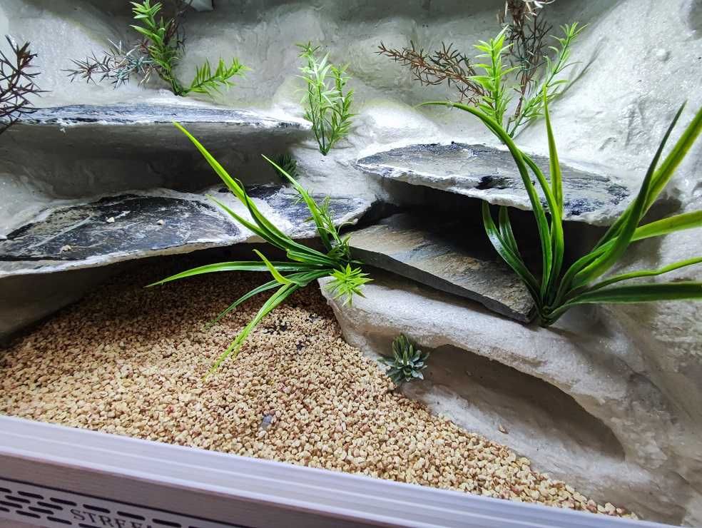 Terrarium pustynne nr618 60/40/40 dla gekona lamparciego NA ZAMÓWIENIE