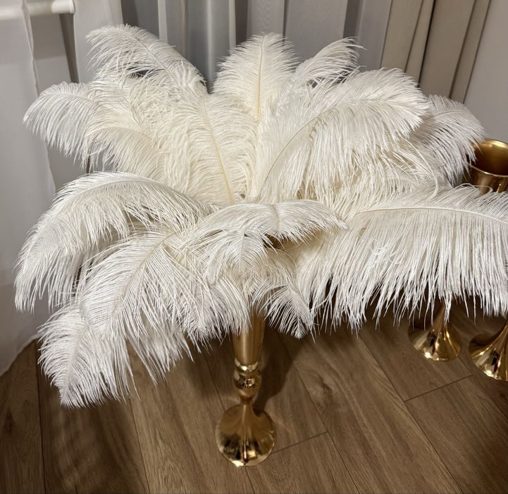 Naturalne pióra strusie