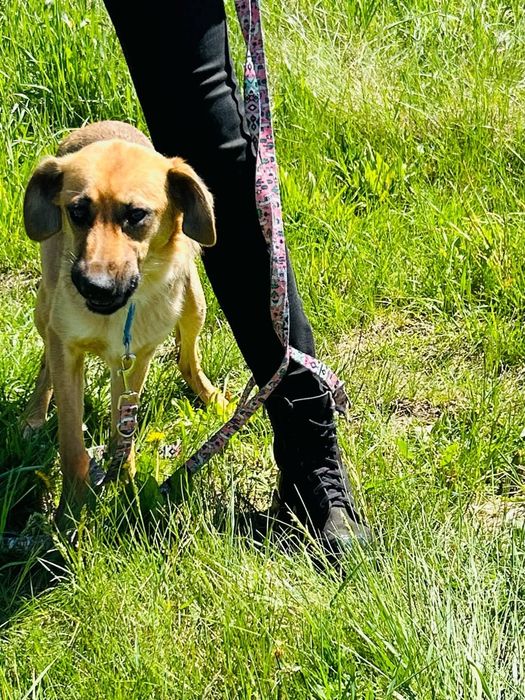 Kochana Cola rozgląda się za domem