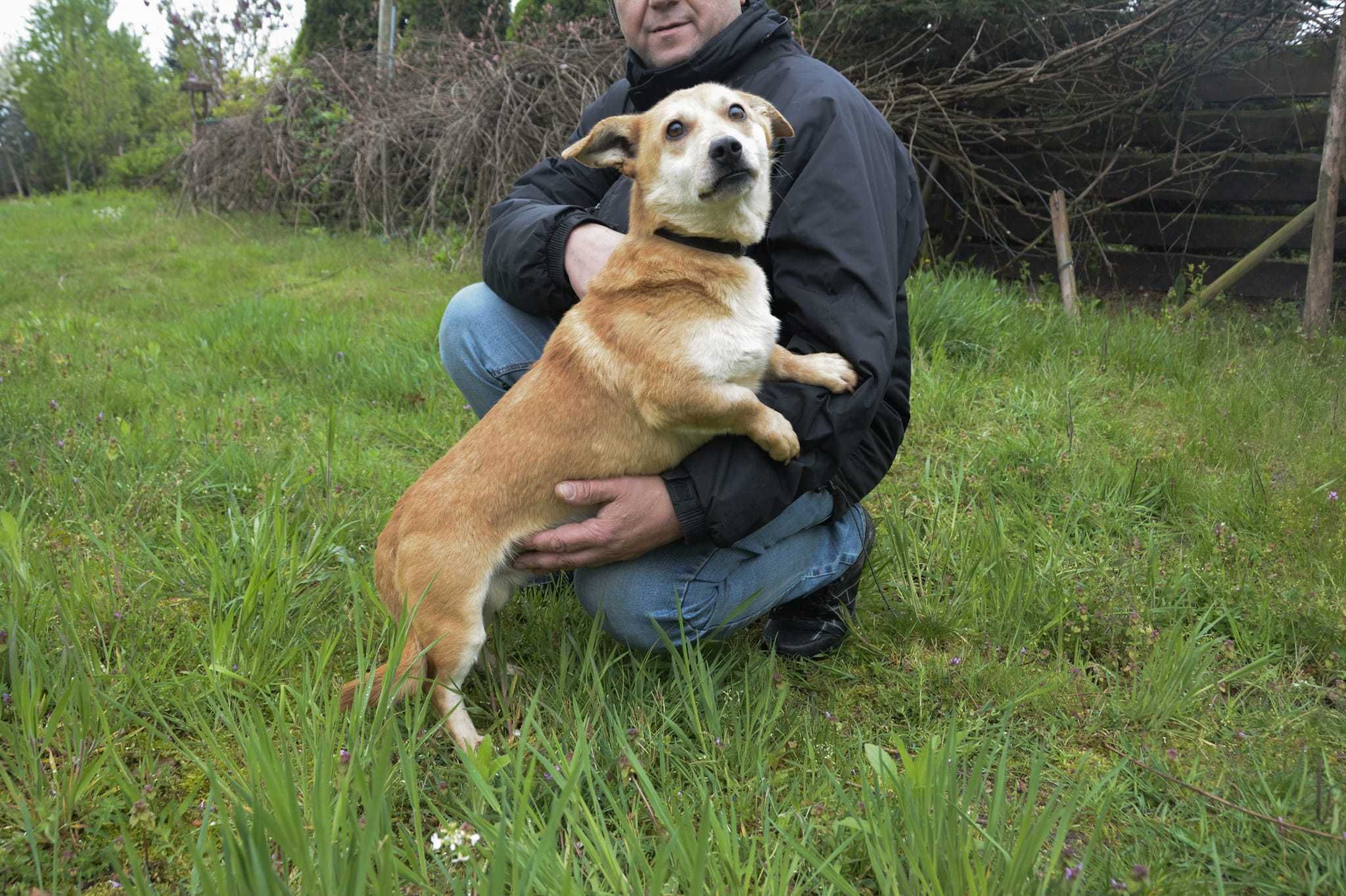 Słodki ptyś poleca się do adopcji