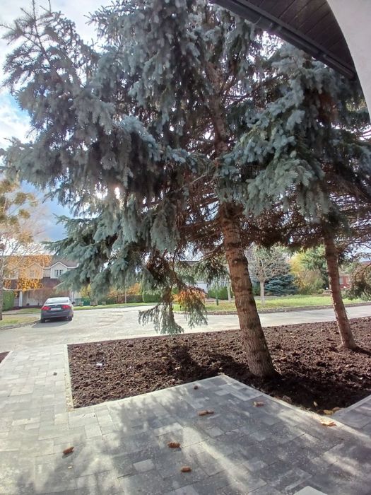 Будинок з великим підвалом і каміном! КМ Канадське Село, без %