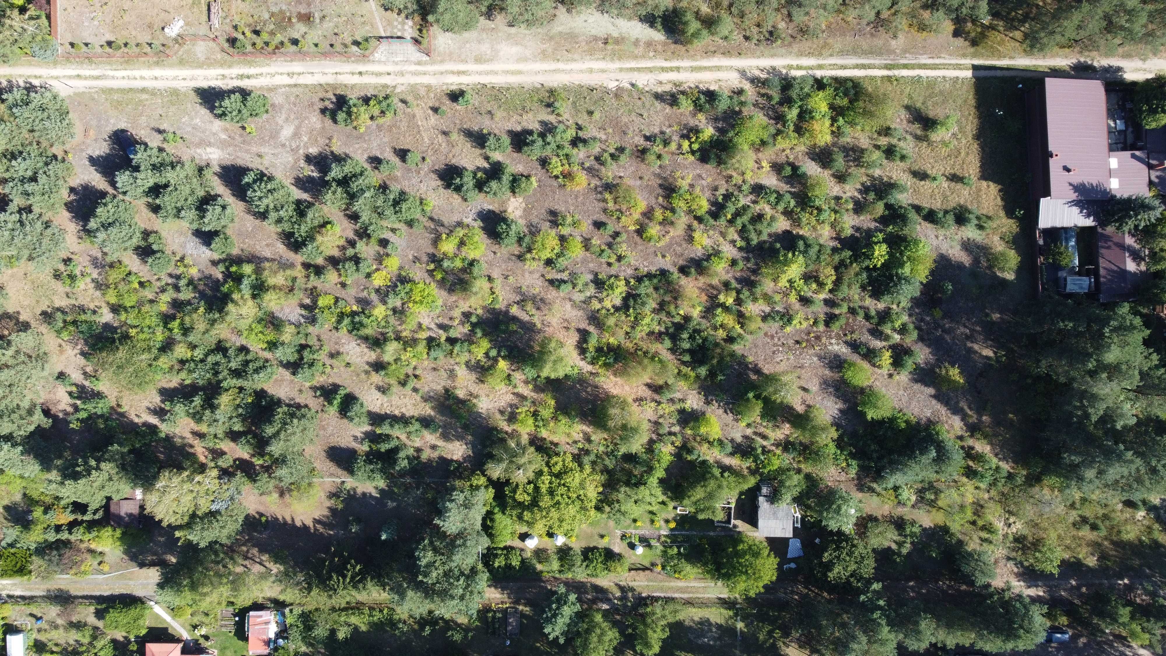Działka 1233 m2 55x22 m. Marcelów, Wsola, gm. Jedlińsk, wydane WZ